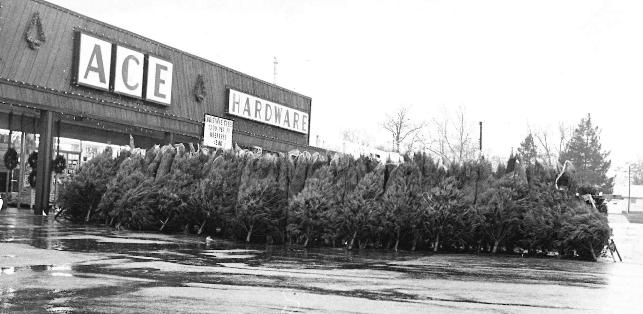 Fairview Plaza Ace Hardware